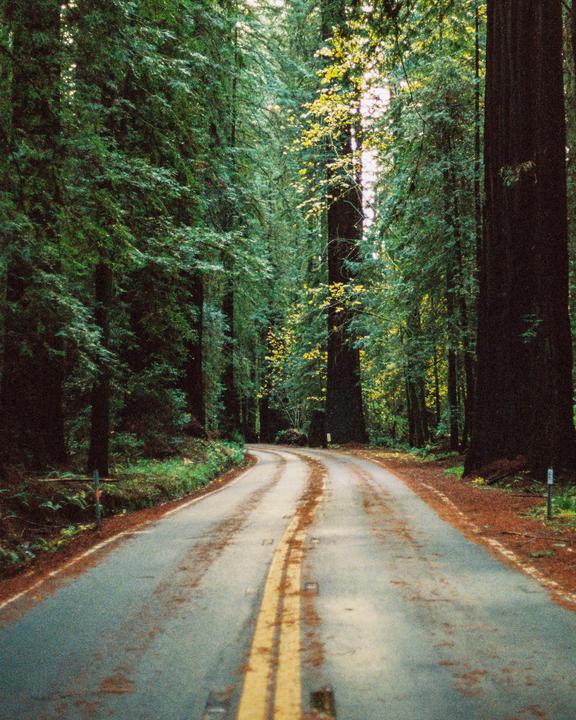 Among the Giants | Canon AE-1P | Portra 800