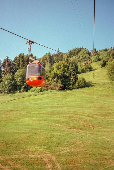 A red gondola travels up a grassy mountain with a forest in the background.