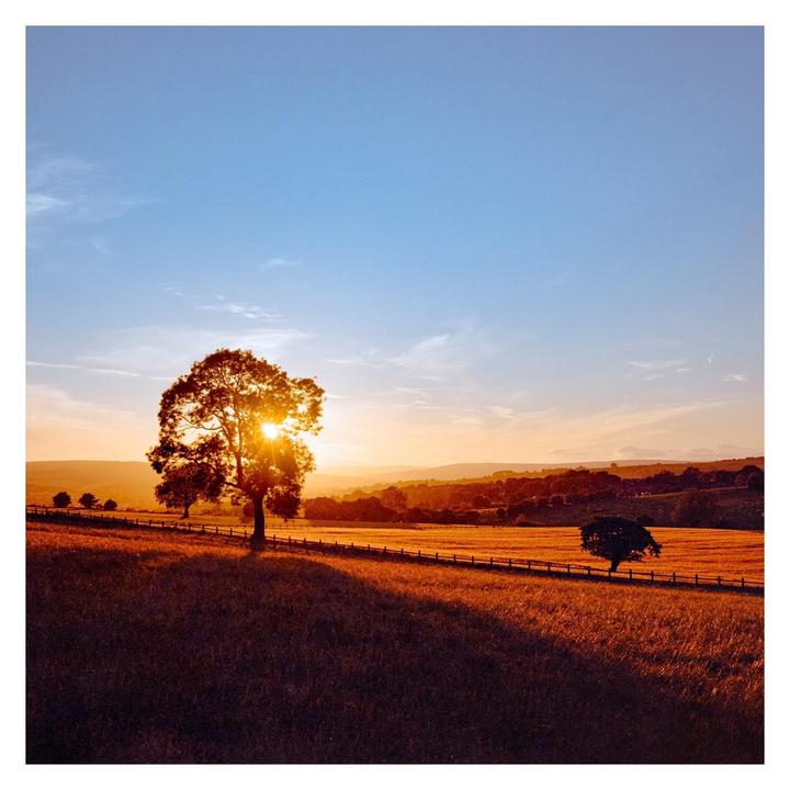 Shooting sunsets on a 1955 Mamiya 6 + Zuiko 75 f/3.5 with Kodak Gold and a shoe mount meter. How did I do?