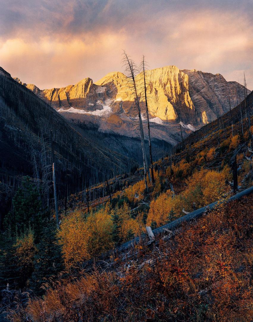 image 35960 by Bugbearphotographer