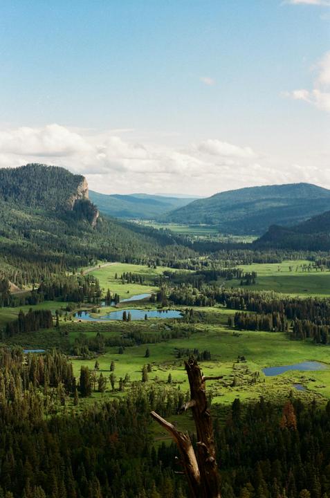 Rio Grande National Forest, CO | Nikon F3 | Kodak Ektar 100 | Nikkor 50mm f1.8