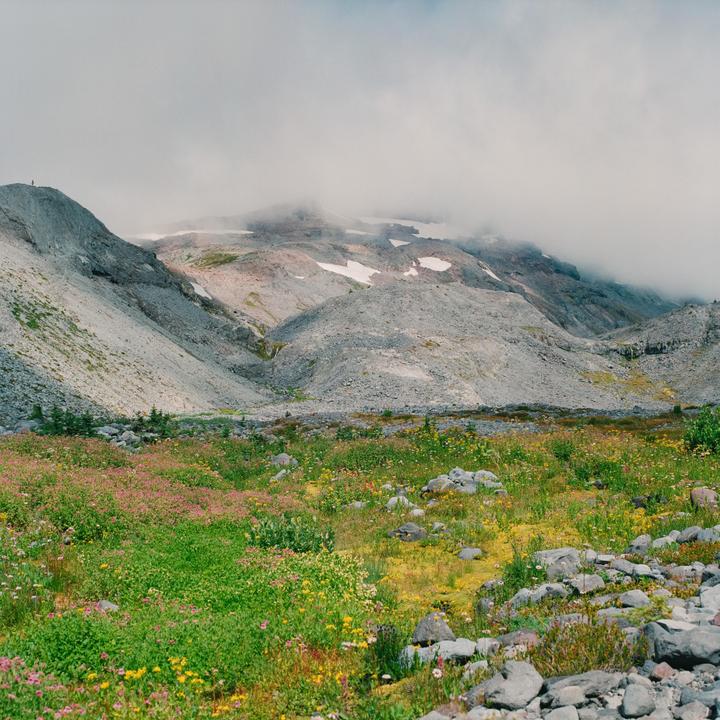 Mount Rainier | Hasselblad 500 C/M | Various Film Stocks