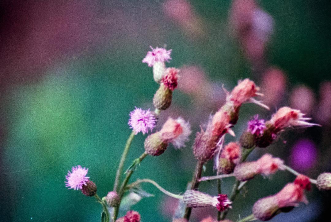 image 35004 by reglmo