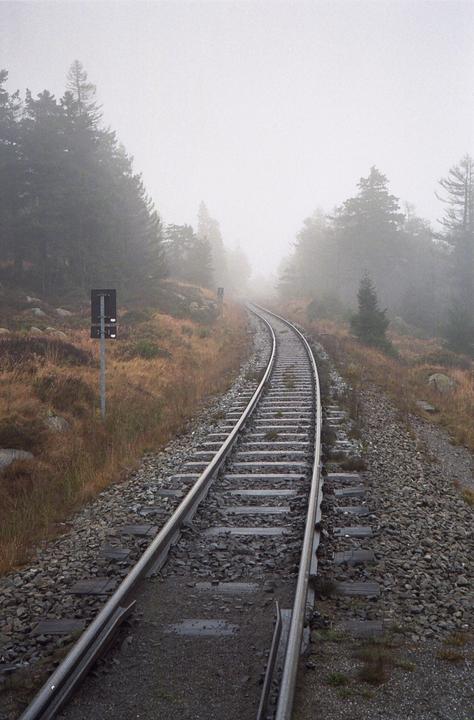 Schierke, Harz, Germany [Olympus 35RC, Kodak Portra 800]