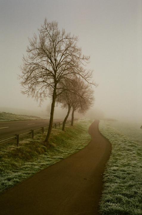 Foggy Day on Leica M6 + 35mm 1:1.4 Summilux and Cinestill 400d
