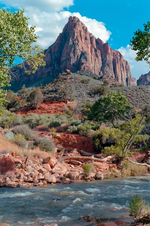Zion | Pentax K1000 | Ektar 100