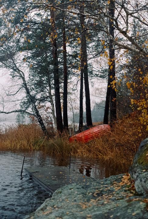 A rainy day in November [Minolta X-300, Minolta MD 50mm f1.7, Kodak Portra 800]
