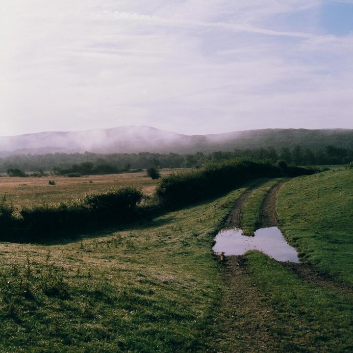 Lake District, England | Bronica SQ | 80mm f2.8 | Phoenix 1