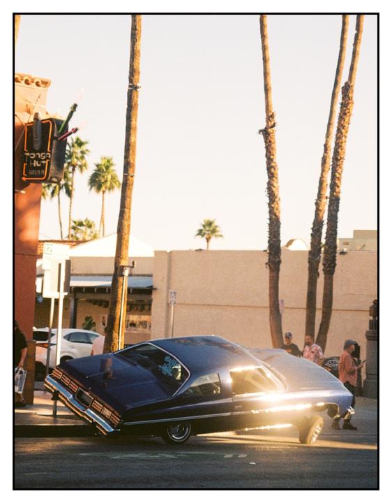 Palm Springs | Canon AE1 Pro Image 100