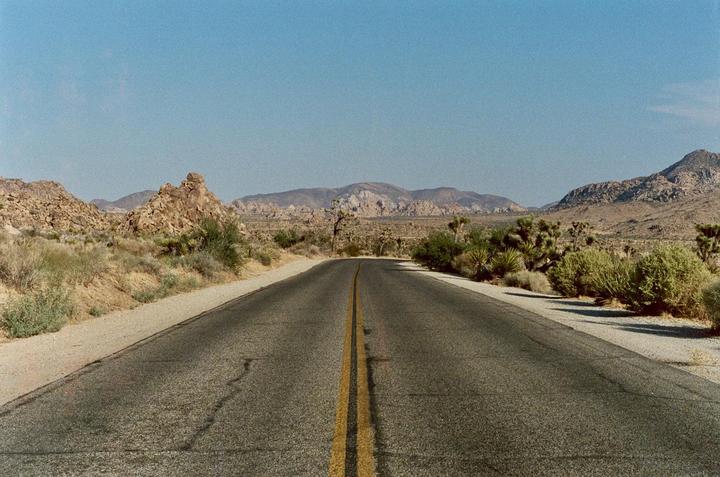 First time in Joshua Tree and first time shooting Cinestill 800T
