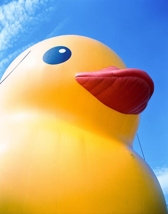 Quack (Pentax 6x7 Lomo CN 100)