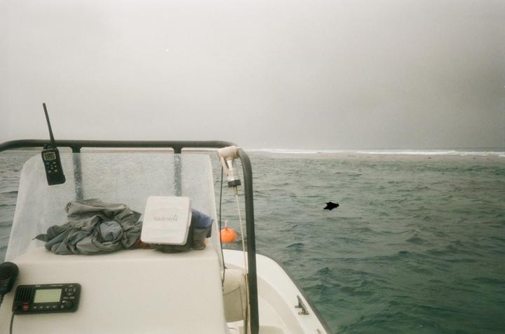 Kodak Underwater Disposable. Would love recommendations for an underwater gear setup.