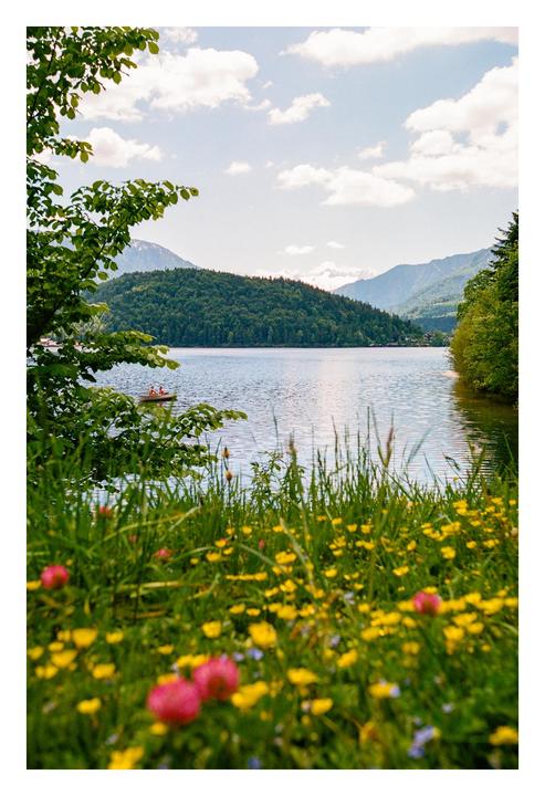 It's Finally Spring in the Mountains | Nikon F6, Kodak Portra 400