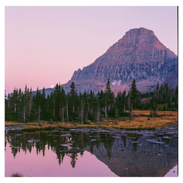 Hasselblad 501cm/80mm cb/Ektar 100