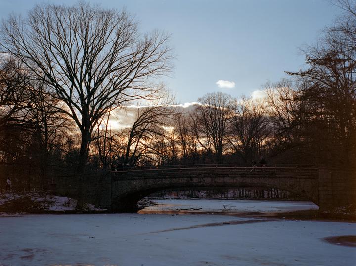 Prospect Park, Brooklyn.  Fuji GA645zi, Ektar 100