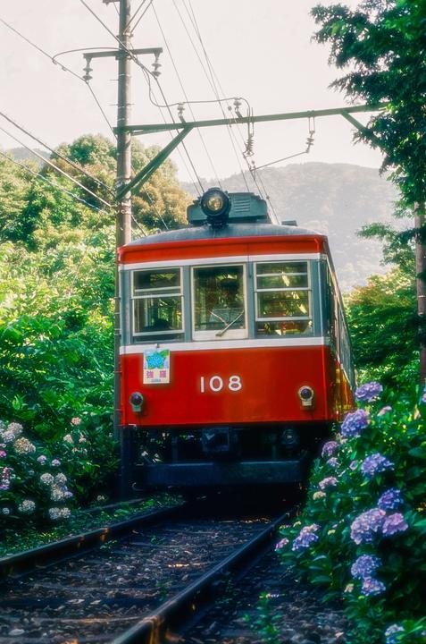 Trainspotting in Hakone | Nikon F3 | Cinestill 400D