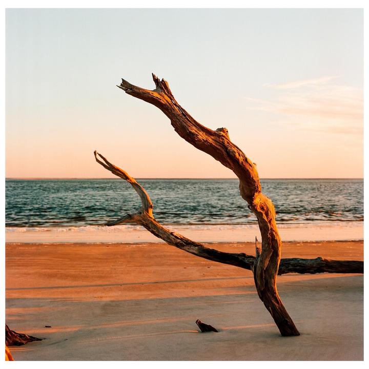Black Rock Beach (Hasselblad 500c, 80mm c*, ektar 100)