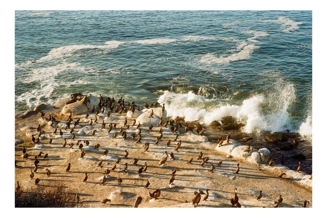 image 35923 by flagflamber