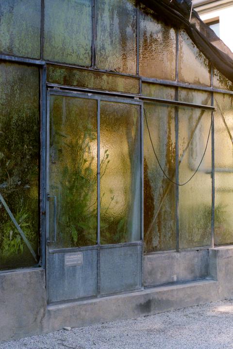 Orto Botanico di Padova [Minolta X300, Minolta 50mm f/1.7, Kodak Ultramax 400]
