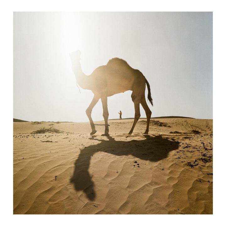 6x6 from my trip to Algeria. Shot on a Rollop Automat 2.8
