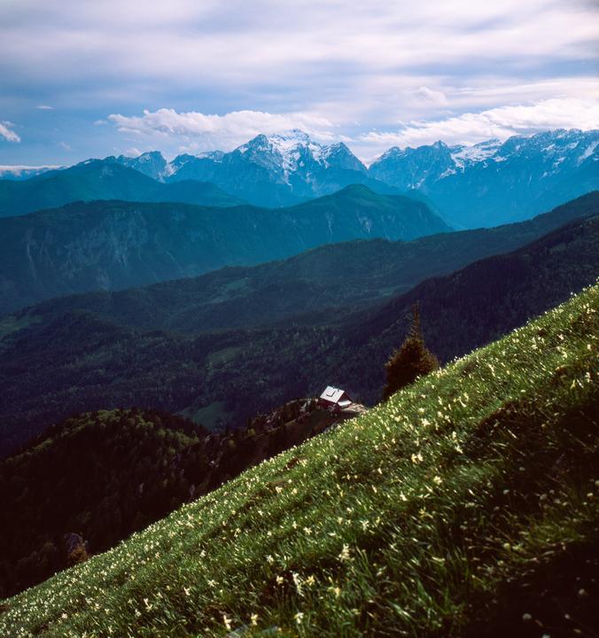 Velvia 50, Rolleiflex 3.5F