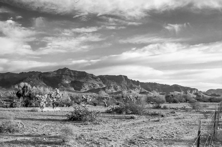 A desert landscape with mountains and cacti under a cloudy sky.