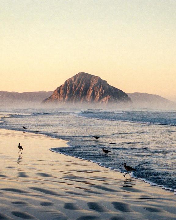 Sunrise in Morro rock / Nikon F3, 85mm, Portra 400, 1/125, f/5.6