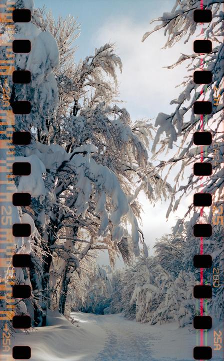 Rescan of a photo from a few years ago. Sometimes it's interesting to come back to "old" negatives and to scan them with current gear. [Zenza Bronica SQ-A | 80mm f/2.8 | Fuji C200] (self-scanned)