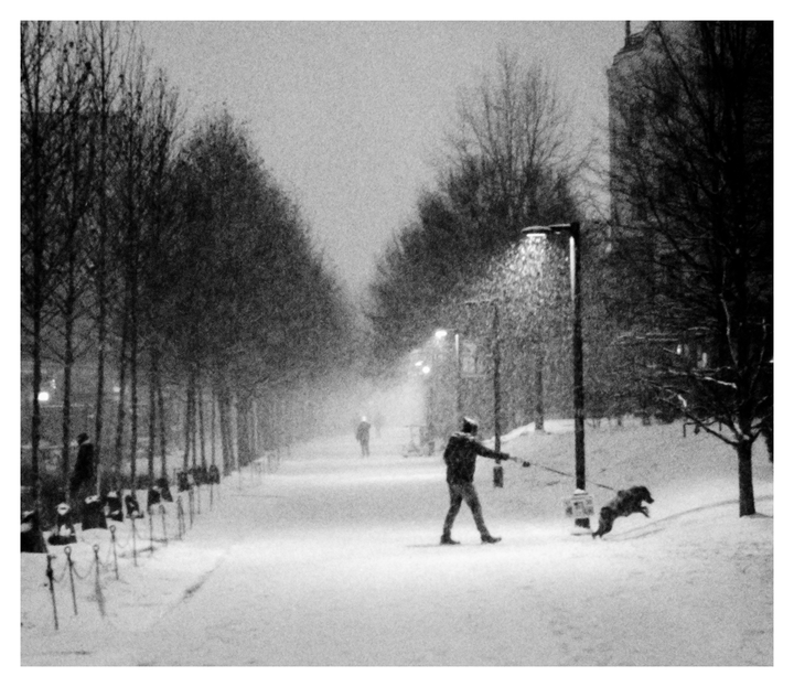 Snow, [Leica M-A, 50 Summilux, Tmax 100]