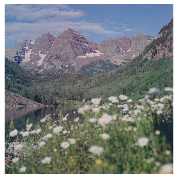Not bad for 24 year old film(Hasselblad 501cm, Fuji NPZ 800 expired 2000, 80mm CB)