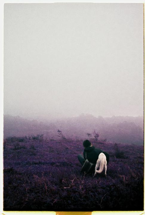 Lomo purple in the fog