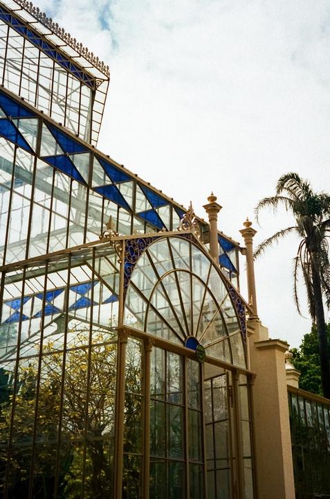 Adelaide Botanic Gardens on Kodak Porta 400 (pushed 1 stop), shot on Rollei 35S