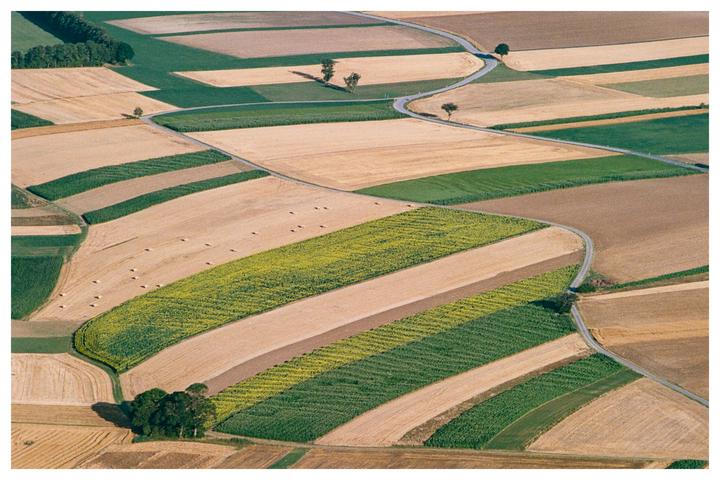 An aerial view shows a winding road through a patchwork of agricultural fields.