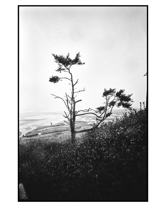 Pacific beach