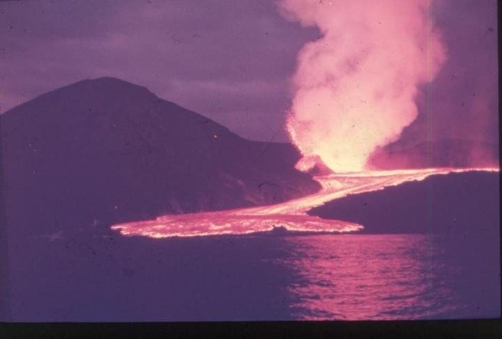I recently had some old slides scanned. Can someone explain why they are red? Did someone just leave a red filter on the camera or is this purposeful?