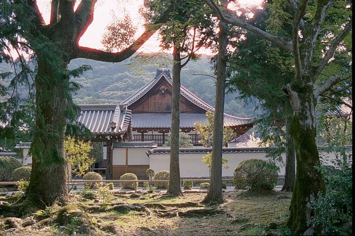 Morning in Kyoto | Pentax k1000 | Cinestill 400