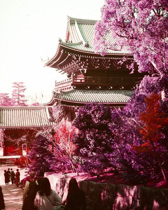 Autumn in Kyoto | Lomo Purple at ISO 200 | Fuji GW690iii | 90mm f/3.5