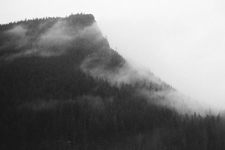 A dense forest covers a mountain shrouded in fog.