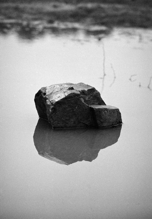 A large rock sits in still water, reflecting on the surface.