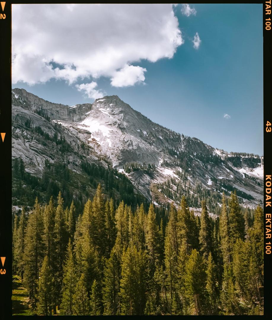 Yosemite National Park [Mamiya 7 80MM · Kodak Ektar 100], shot on mamiya 7 with kodak ektar 100