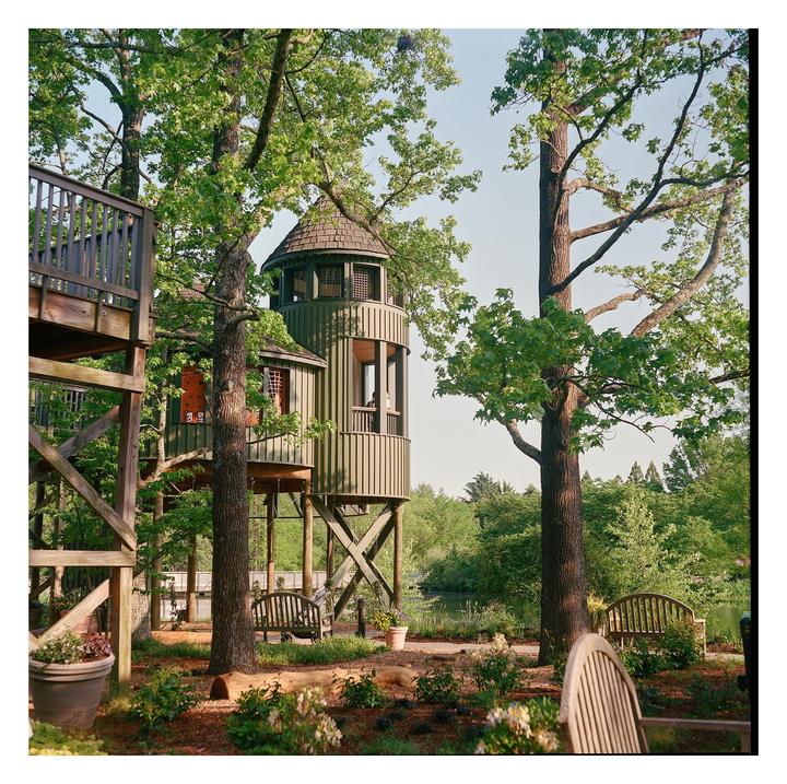Tree house [Minolta Autocord 3.5 Portra 400]
