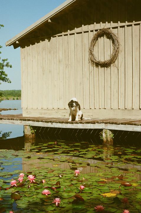 [Olympus OM2 50mm, Fuji 400] Need opinions on cropping