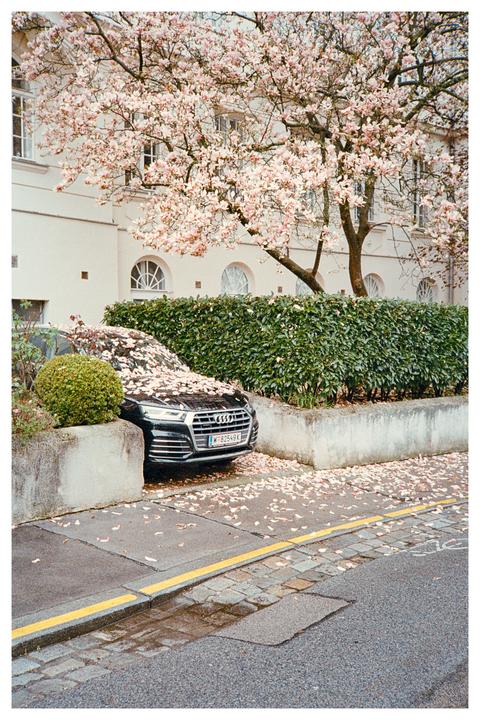 Looking back at traveling this spring [Olympus XA, Portra 400]