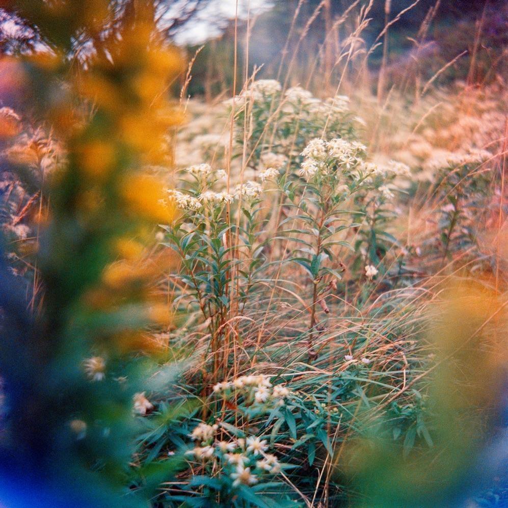 image 37726 by JLearie