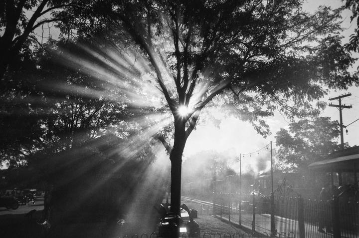 Nikon EL2+ Agfa APX 100
