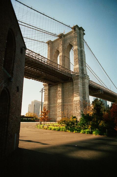 The Brooklyn Bridge is visible from a street with a brick building on the left and trees on the right.