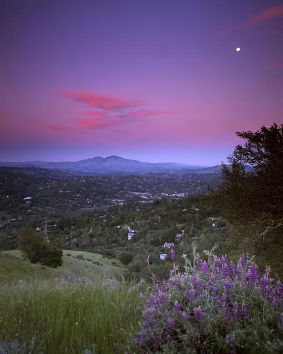 Sunset over Mt Diablo, from Tilden, Berkeley Hills. 4x5 field camera, 90mm lens, Provia 100.