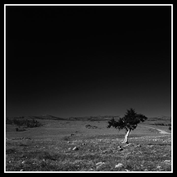Bronica SQ-A. 80mm f2.8. T-Max 100.