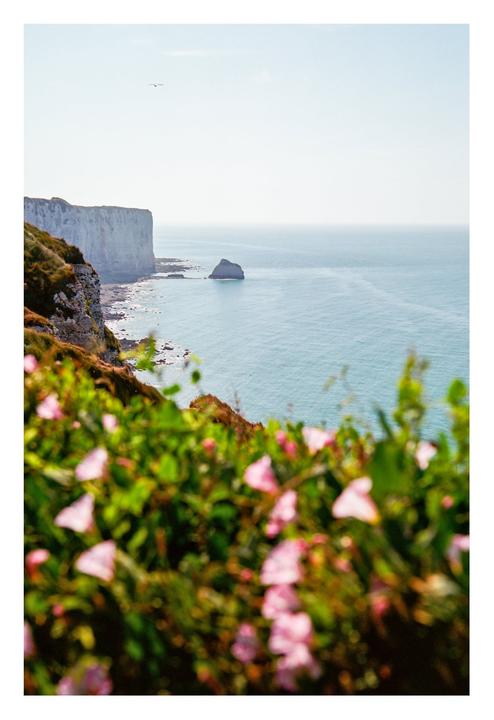 Summer scenes; any favorites? [Nikon F6, Portra 400 & Ektar 100]
