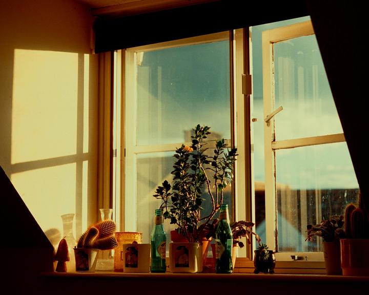another window [Leica M2 // Nokton 50mm 1.2 // Vision3 200T // 85]